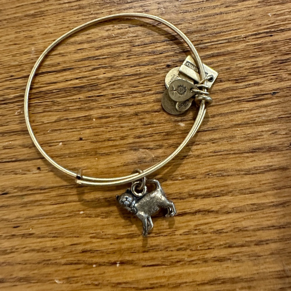 ALEX AND ANI Cat Gold Bracelet